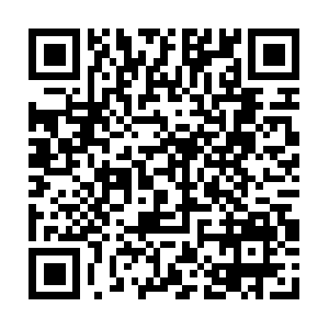 Alleelektrischesgartenwerkzeug.info QR code