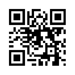 Allpunches.com QR code