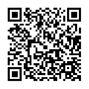 Allthepresidentsmensbeautifulminds.us QR code