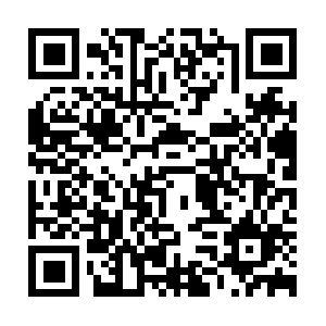 Alugueldecarrosempuertomonttchile.com QR code