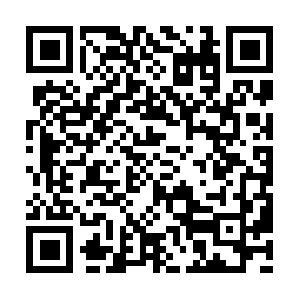 Americancertifiedserviceanimals.org QR code