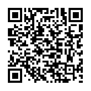 Americancollegeofcannabisexpertwitnesses.com QR code