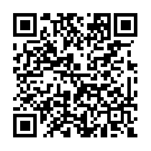 Americanconcealedcarryinstitute.com QR code