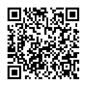 Americanssoutherntiertreeservice.com QR code
