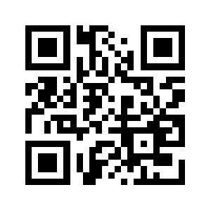 Amirbin.ir QR code