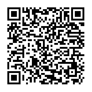 Ammoforsale.cdn.review-cu-fgrvkc.test.ammo.deligo.dev QR code