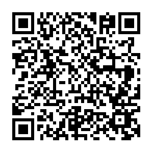 Ampproject.org.dob.sibl.support-intelligence.net QR code