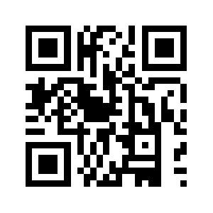 Anal333.com QR code