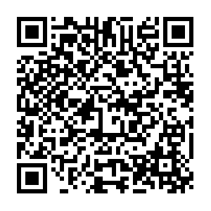 Android.nccp.us-west-2.internal.dradis.netflix.com QR code