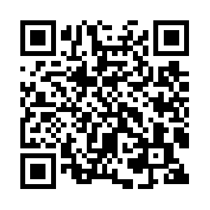 Android.palmplaystore.com.lan QR code