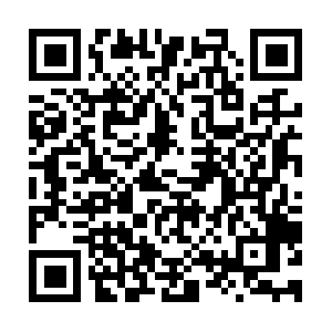 Angelospaintinggeneralcontractorsllc.com QR code