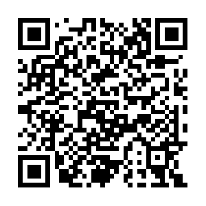 Animationinstitutesinchandigarh.com QR code