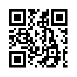 Ap.ngrok.com QR code