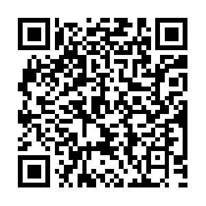 Apartamentoslosamigostortuguero.com QR code