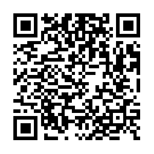 Api-684909705.us-west-2.elb.amazonaws.com QR code