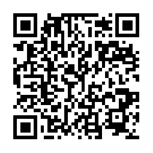 Api-braingame-android.easybrain.com QR code