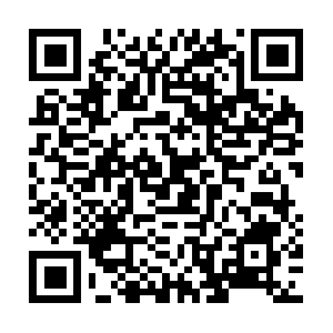 Api-indramayu.srinapps.com.totolink QR code