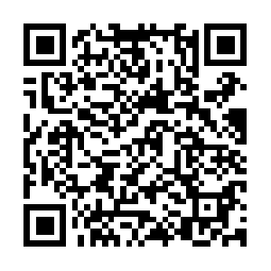 Api-nonogram-multicolor-ios.easybrain.com QR code