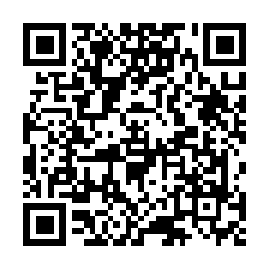 Api-project-244347711590.firebaseapp.com QR code