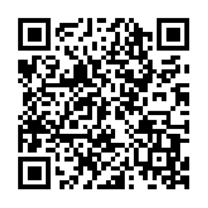 Api.accelerator.intl.miui.com.totolink QR code