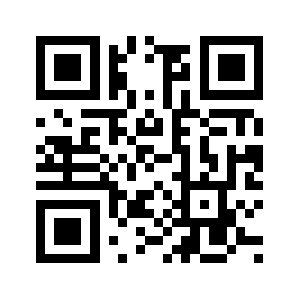 Api.aip2p.net QR code