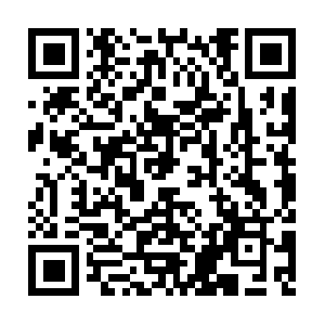 Api.data-collector.cernercentral.com QR code