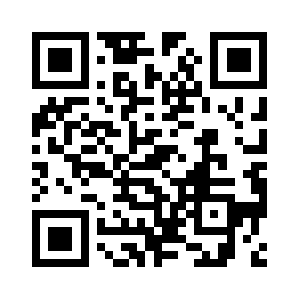 Api.ridestyler.net QR code