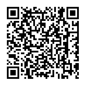 Api.shopee.ph.getcacheddhcpresultsforcurrentconfig QR code