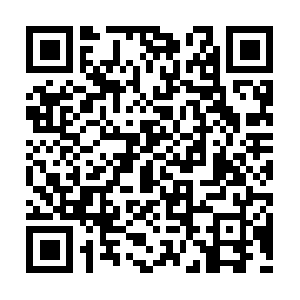 App-measurement.com.portal.pisofi.com QR code