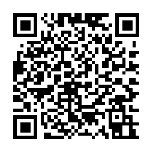 Appalah-vencitraan-tentangnetnot.com QR code