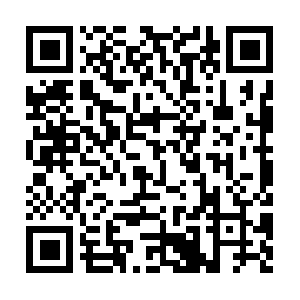 Applicationdeliverynetworkswitch.com QR code