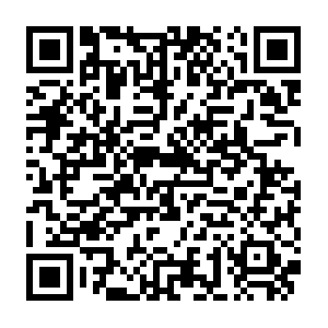 Appnetbpvius3zus4hhbth9a2ix9751nu4wku7loclb6.net QR code