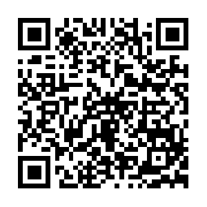 Approvedvehicleprotectioncenter.info QR code