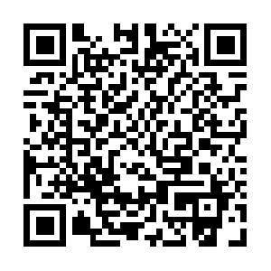 Apps.pci.pcfusw1prd.solutions.corelogic.com QR code