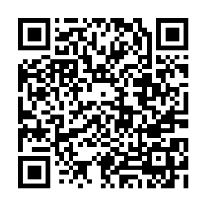 Architecturenburohoppenbrouwers.mobi QR code