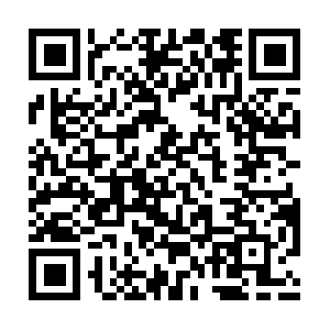 Arlostreaming1662-z2-prod.ar.arlo.com QR code