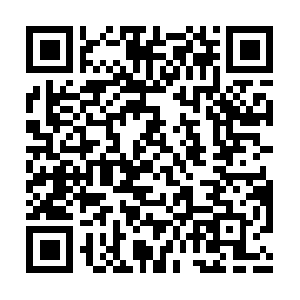 Arlostreaming1778-z2-prod.ar.arlo.com QR code