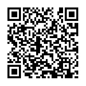 Arlostreaming848-z2-prod.ar.arlo.com QR code