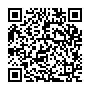 Arlostreaming905-z2-prod.ar.arlo.com QR code