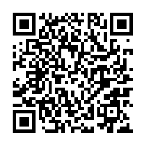 Arlostreaming959-z2-prod.ar.arlo.com QR code