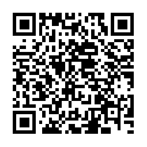 Armandomontelongoeducationcompany.info QR code