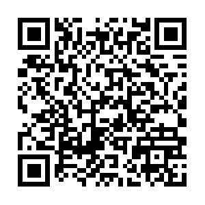 Art-gallery-2.oss-cn-beijing.aliyuncs.com QR code