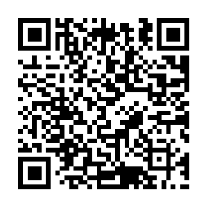 Artpurvisfoodsecurityconsultants.com QR code