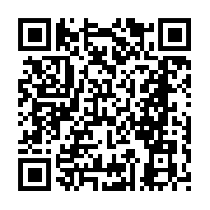 Asbestsanierung-rastatt-lackner-gmbh.com QR code