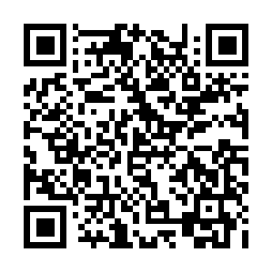 Asia-ort-stsdk.vivoglobal.com.totolink QR code