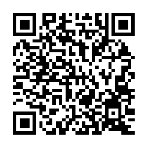 Asia-pnrt-stsdk.vivoglobal.com.localnet QR code