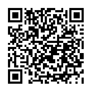 Asia-static-p.vivoglobal.com.domain.name QR code