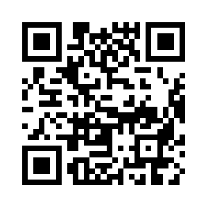 Astylehelmet.com QR code