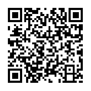 Attributeinformations-newfor-you.info QR code