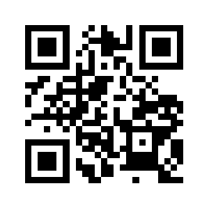 Audit-auto.com QR code